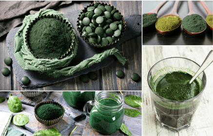 Chlorella – sladkovodní řasa a její účinky na zdraví